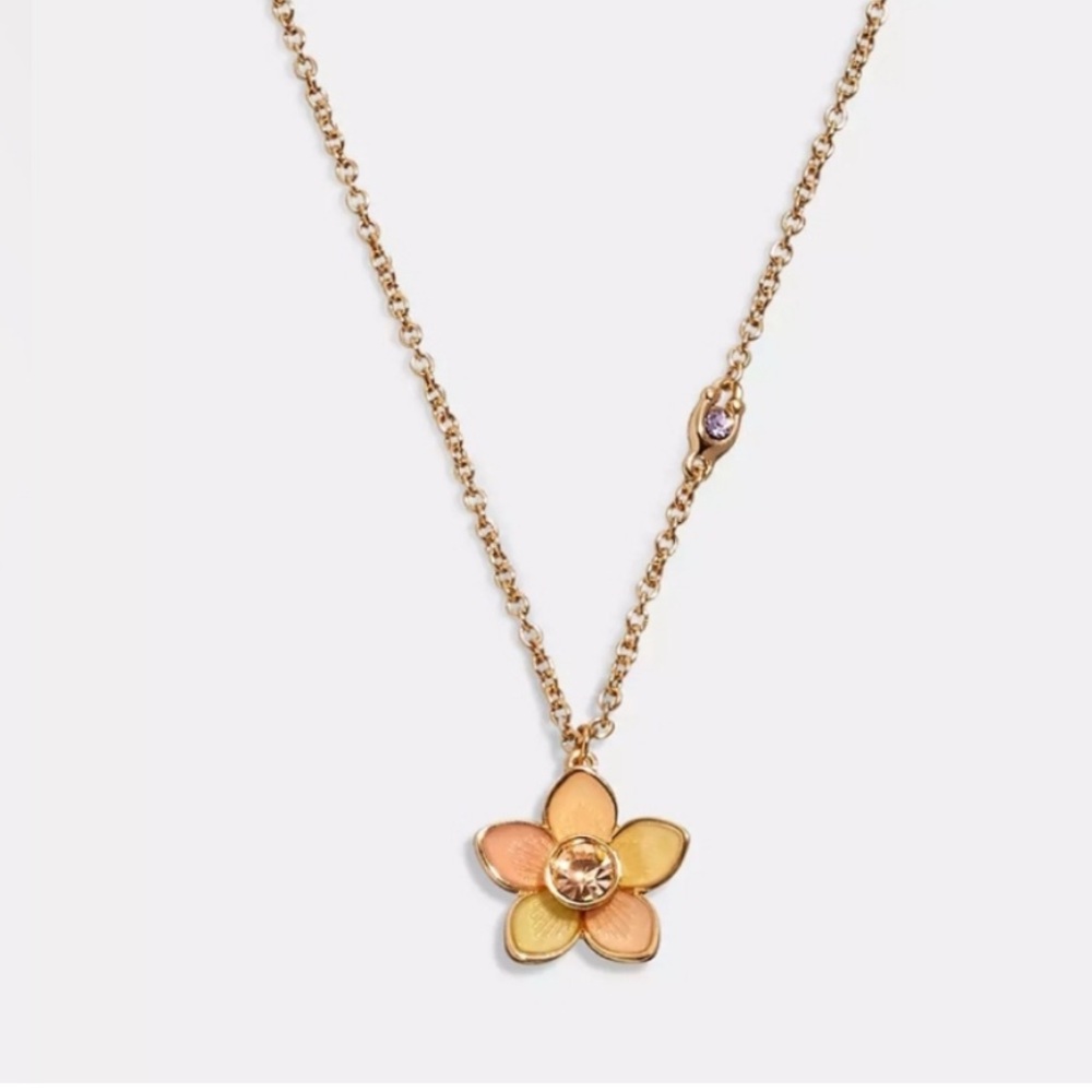 NWT Coach Transparent Wildflower Necklace - Picture 6 of 6